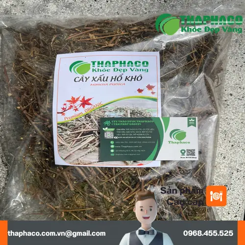 Sản phẩm cây xấu hổ tươi từ Thảo Dược Tươi THAPHACO