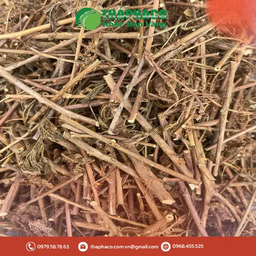 Sản Phẩm Cây Xấu Hổ Đóng Gói - Thảo Dược THAPHACO