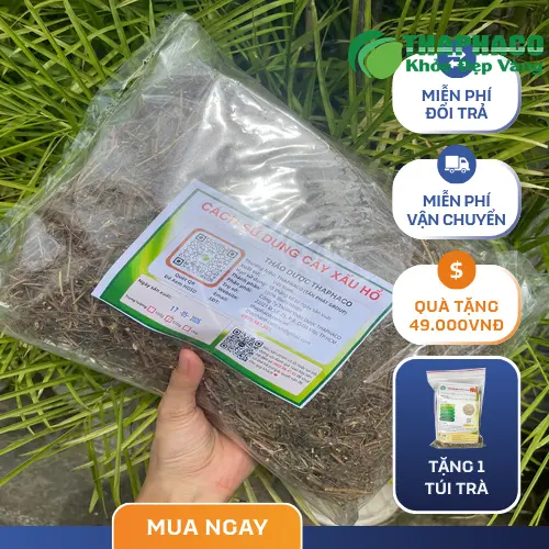 Ưu đãi khi mua cây xấu hổ khô tại THAPHACO