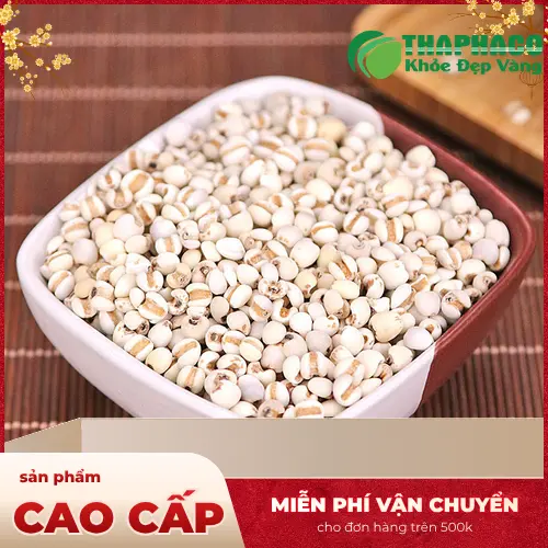 Hạt Ý Dĩ THAPHACO tươi, sạch, chất lượng cao