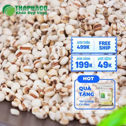 Hạt ý dĩ tươi, nguyên chất từ THAPHACO