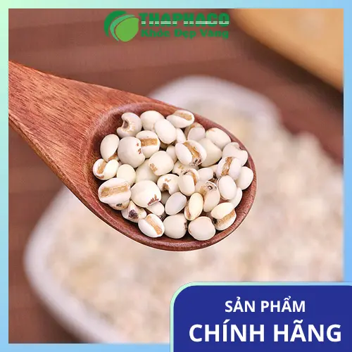Hạt ý dĩ tươi, sạch, nguyên chất từ Thảo Dược Tươi THAPHACO