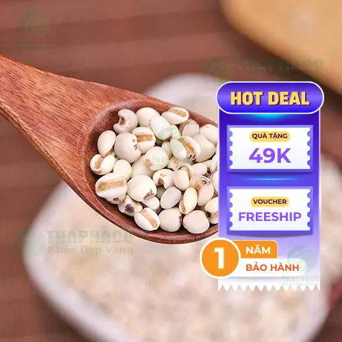 Sản phẩm Ý Dĩ Thảo Dược Tươi THAPHACO đạt tiêu chuẩn sạch, xanh