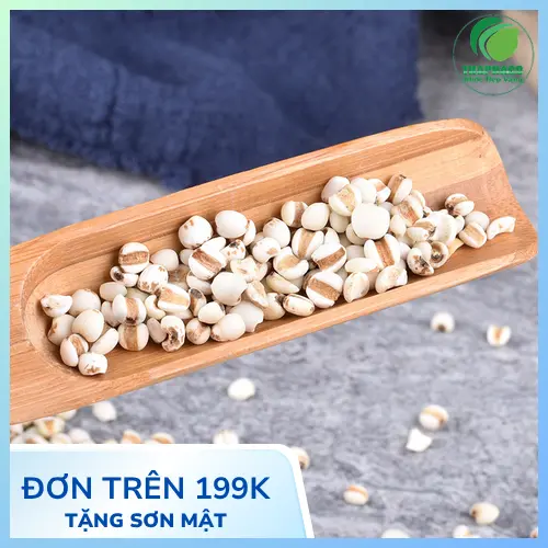 Quy trình kiểm định chất lượng ý dĩ tại THAPHACO