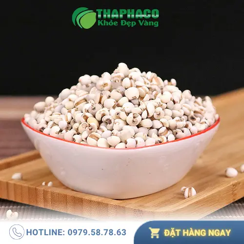 Chè ý dĩ hạt sen thơm ngon, bổ dưỡng và dễ làm