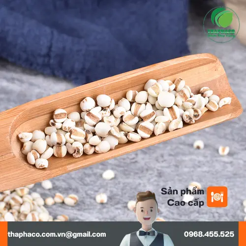 Ý dĩ đã được sơ chế, sẵn sàng sử dụng trong các món ăn