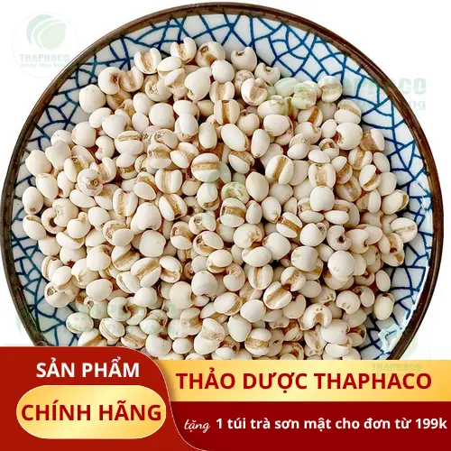 Ý dĩ đã được chế biến thành món ăn bổ dưỡng giúp tăng cân