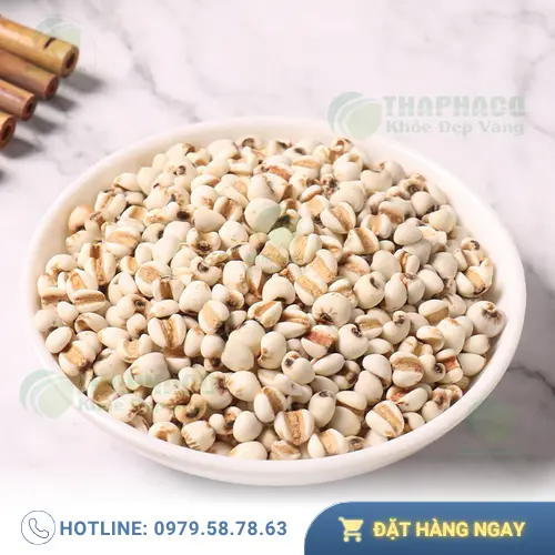 Ưu đãi mua Ý Dĩ tặng Trà Sơn Mật tại THAPHACO