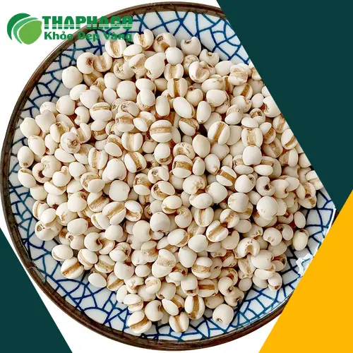 Cháo ý dĩ đậu xanh giúp giải nhiệt và bồi bổ sức khỏe