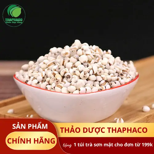 Ý dĩ được đóng gói cẩn thận tại THAPHACO
