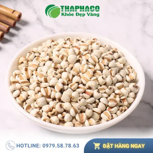 Ý Dĩ Thảo Dược Tươi THAPHACO - Giải pháp sức khỏe và sắc đẹp từ thiên nhiên