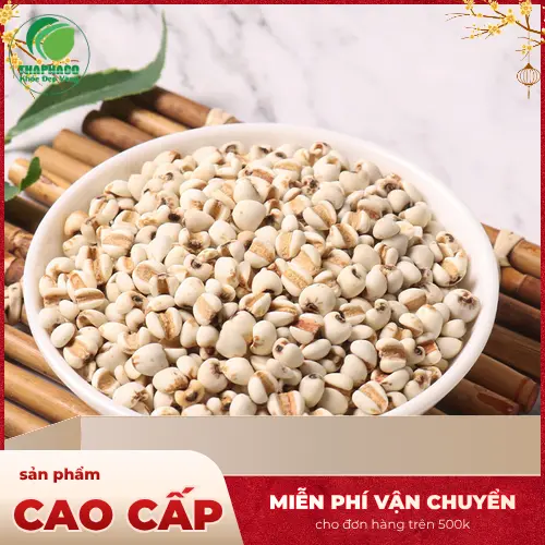 Thảo Dược Tươi THAPHACO - Chuyên cung cấp ý dĩ sạch, xanh