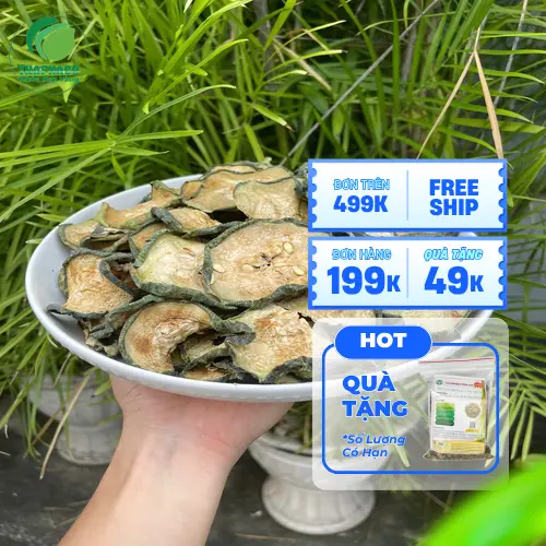 Mua bí đao sấy lạnh THAPHACO chính hãng