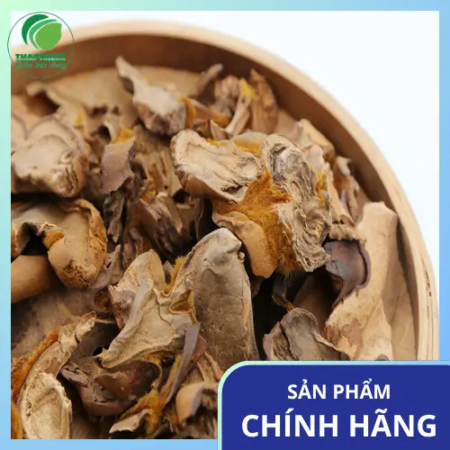 Thân rễ Cẩu tích khô tại Thảo Dược Tươi THAPHACO