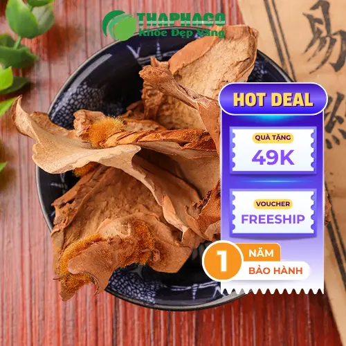 Cẩu tích chất lượng cao tại Thảo Dược Tươi THAPHACO