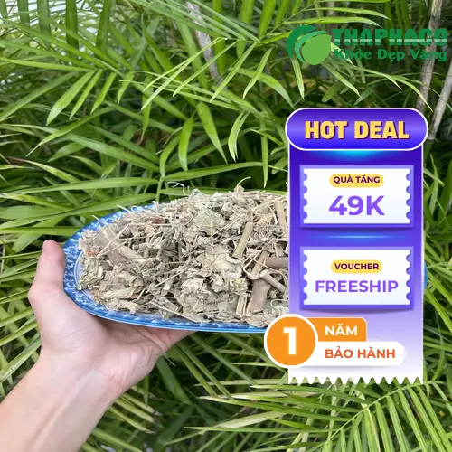 Hình ảnh cây cối xay tươi sau khi thu hoạch