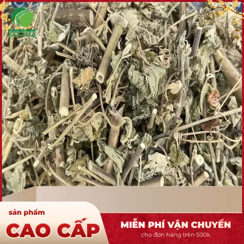 Quá trình kiểm định chất lượng cây cối xay tại THAPHACO