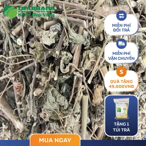 Sản phẩm cây cối xay sấy khô đóng gói tại THAPHACO