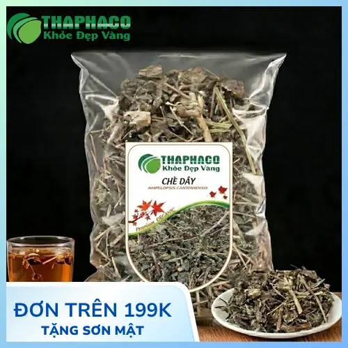 Chè dây sấy khô - Thảo dược Ampelopsis cantoniensis