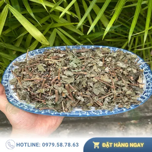 Dấu hiệu chè dây khô bị ẩm mốc kém chất lượng