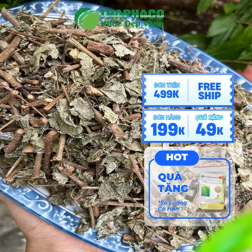 Công dụng hỗ trợ tiêu hóa và giấc ngủ của chè dây