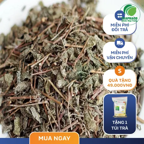 Phân biệt chè dây sấy khô chất lượng cao