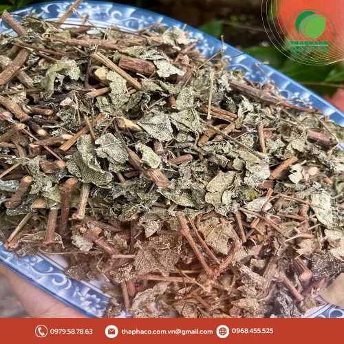 Tác hại của việc uống chè dây bị ẩm mốc