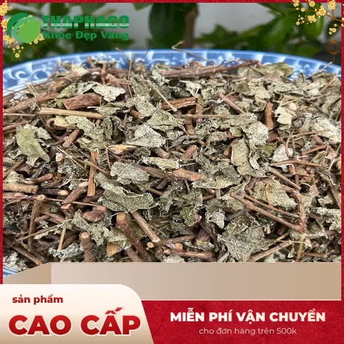 Hướng dẫn sử dụng chè dây khô THAPHACO
