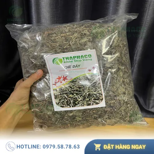 Công dụng hỗ trợ tiêu hóa của chè dây
