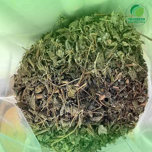Hình ảnh sản phẩm chè dây khô đóng gói tại THAPHACO