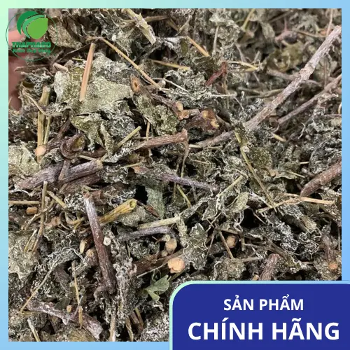 Địa chỉ mua chè dây sấy khô THAPHACO uy tín