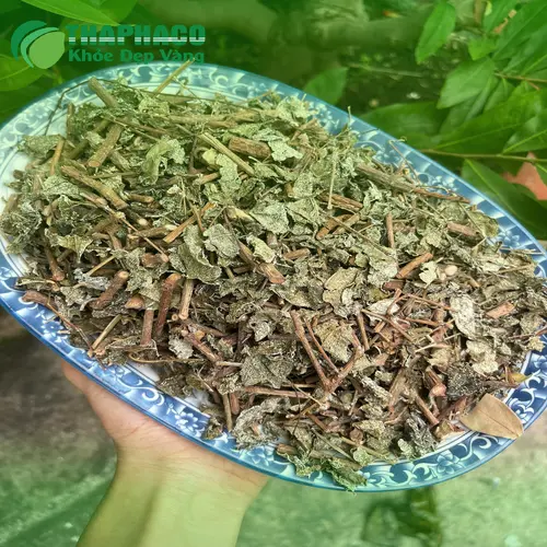 Cách chọn mua chè dây khô chất lượng
