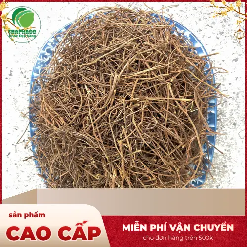 Dây Tơ Hồng - Thảo dược tươi sạch từ THAPHACO