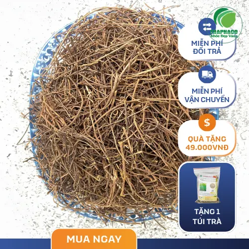 Dây Tơ Hồng tươi THAPHACO chất lượng cao