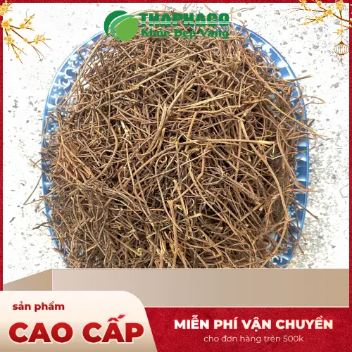 Dây tơ hồng tươi chất lượng cao tại Thảo Dược Tươi THAPHACO