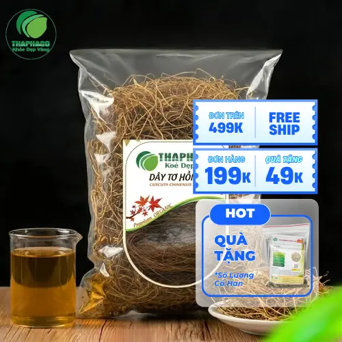 Dây tơ hồng tươi chất lượng cao tại Thảo Dược Tươi THAPHACO