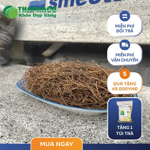 Thảo dược tươi dây tơ hồng THAPHACO được bảo quản kỹ lưỡng