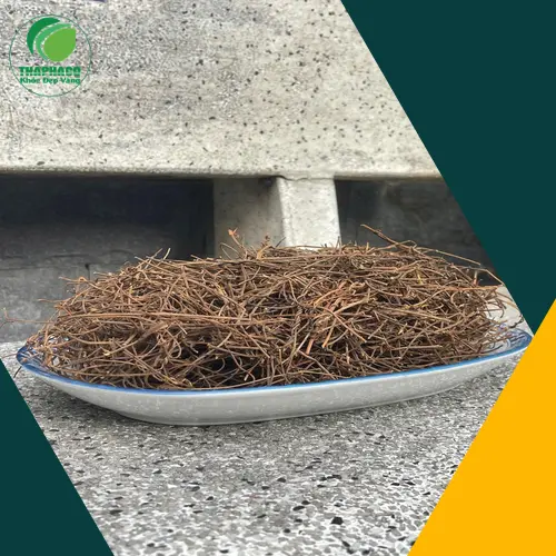 Chế biến Dây Tơ Hồng hiệu quả