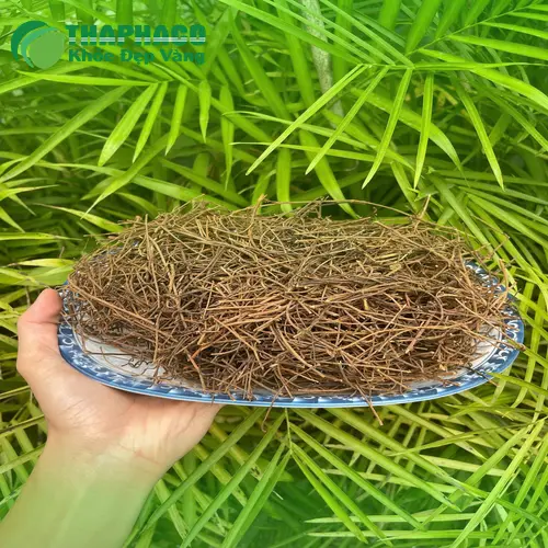 Dây tơ hồng khô được bảo quản đúng cách tại Thảo Dược Tươi THAPHACO