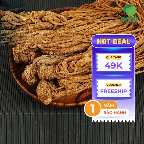 Thảo Dược Tươi THAPHACO cam kết cung cấp Đương Quy giá tốt, freeship
