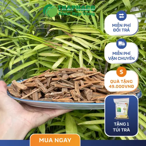 Hậu Phác Khô chất lượng cao từ Thảo Dược Tươi THAPHACO
