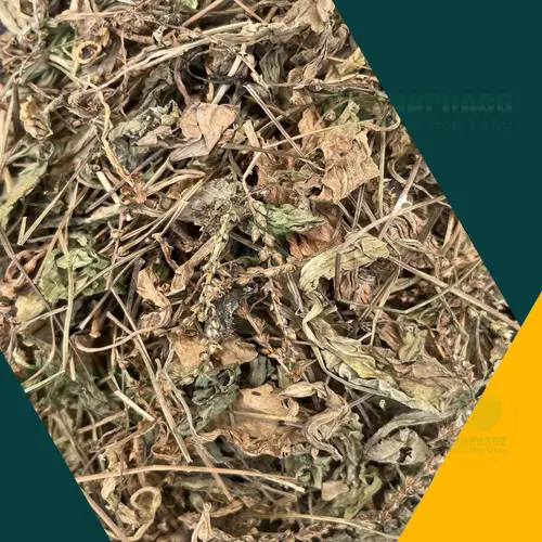 Mã đề sấy khô THAPHACO được tuyển chọn kỹ lưỡng, đảm bảo chất lượng