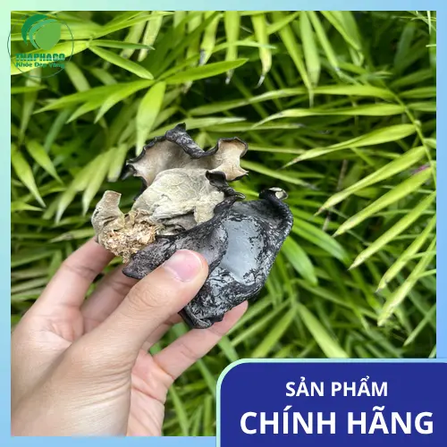 Mộc nhĩ khô an toàn khi sơ chế đúng cách