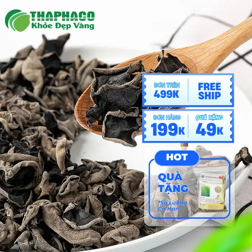Giá mộc nhĩ sấy khô THAPHACO