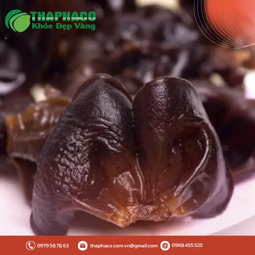 Công dụng của mộc nhĩ khô THAPHACO