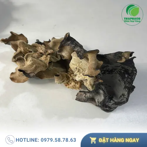 Mộc nhĩ khô THAPHACO đã được sơ chế sạch sẽ