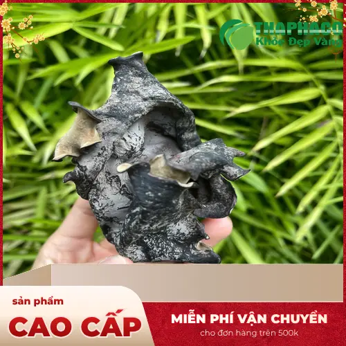 Sơ chế mộc nhĩ đúng cách