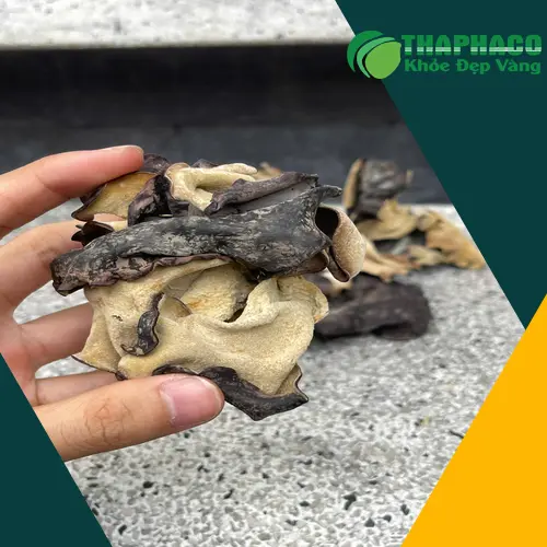 Cách sơ chế mộc nhĩ khô