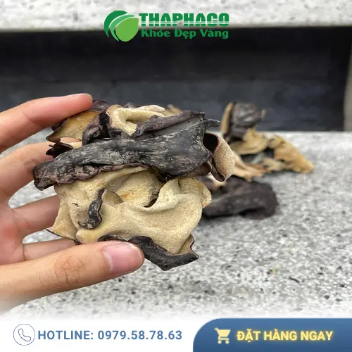 THAPHACO cung cấp mộc nhĩ chất lượng