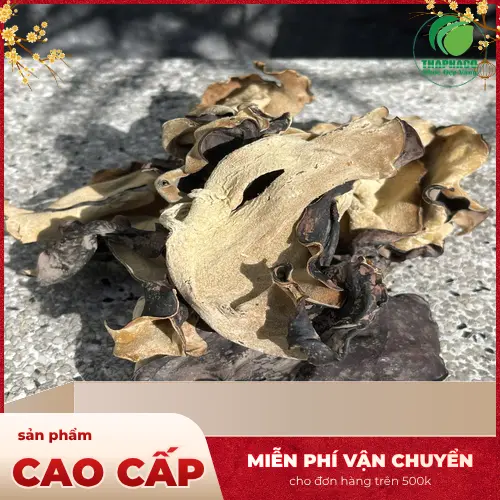 Lưu ý khi sử dụng và bảo quản mộc nhĩ khô